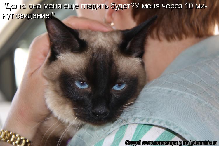 "Долго она меня ещё гладить будет?У меня через 10 ми- нут свидание!"... Котоматрица: "Долго она меня ещё гладить будет?У меня через 10 ми- нут свидание!"