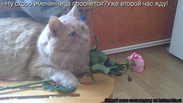 --Ну скоро именинница проснётся?Уже второй час жду!... Котоматрица: --Ну скоро именинница проснётся?Уже второй час жду!