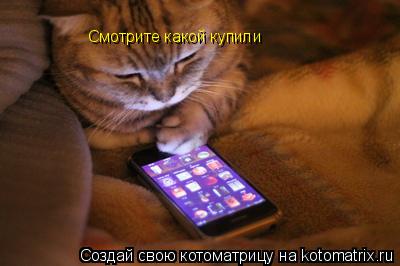 Смотрите какой купили... Котоматрица: Смотрите какой купили