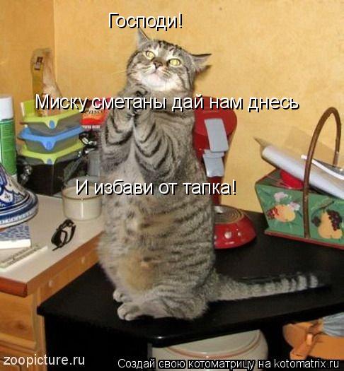 Господи! Миску сметаны дай нам днесь И избави от тапка!... Котоматрица: Господи! Миску сметаны дай нам днесь И избави от тапка!