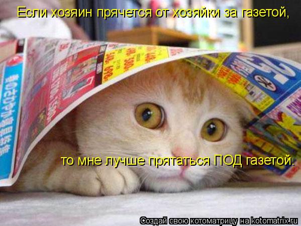 Если хозяин прячется от хозяйки за газетой, то мне лучше прятаться ПОД газетой.... Котоматрица: Если хозяин прячется от хозяйки за газетой, то мне лучше прятаться ПОД газетой.