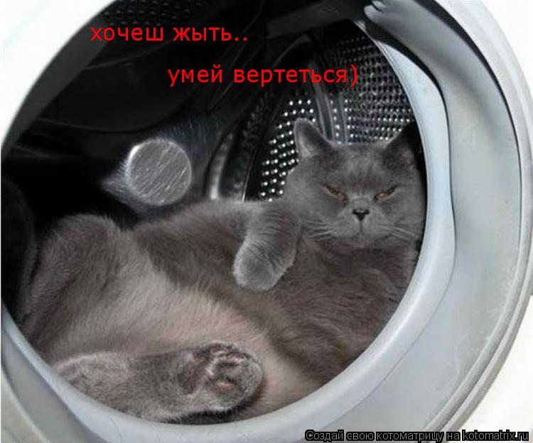 хочеш жыть.. умей вертеться)... Котоматрица: хочеш жыть.. умей вертеться)