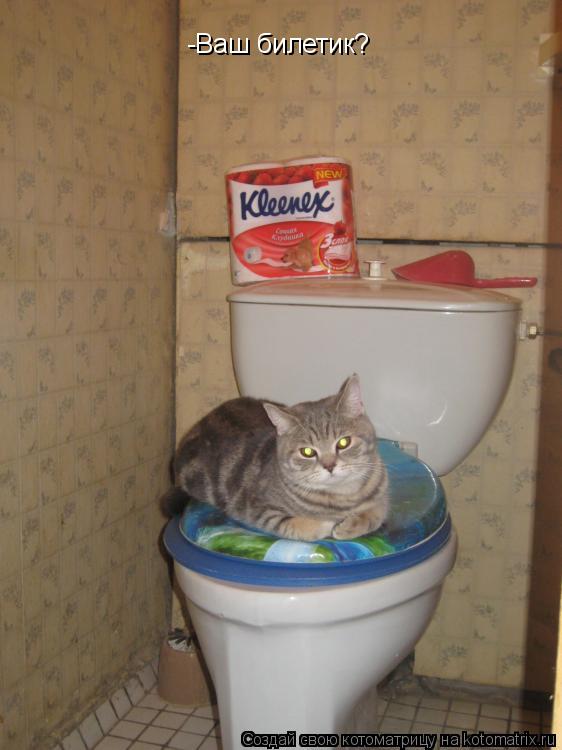 -Ваш билетик?... Котоматрица: -Ваш билетик?