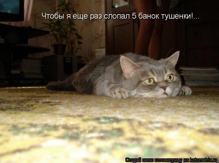 Чтобы я еще раз слопал 5 банок тушенки!...... Котоматрица: Чтобы я еще раз слопал 5 банок тушенки!...