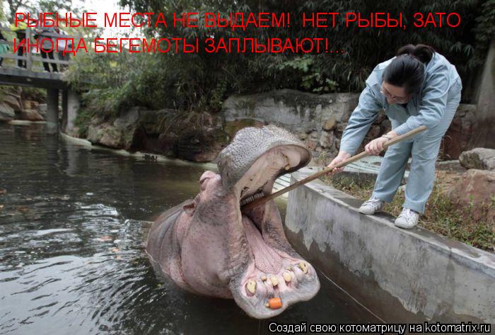 РЫБНЫЕ МЕСТА НЕ ВЫДАЕМ! НЕТ РЫБЫ, ЗАТО ИНОГДА БЕГЕМОТЫ ЗАПЛЫВАЮТ!...... Котоматрица: РЫБНЫЕ МЕСТА НЕ ВЫДАЕМ! НЕТ РЫБЫ, ЗАТО ИНОГДА БЕГЕМОТЫ ЗАПЛЫВАЮТ!...
