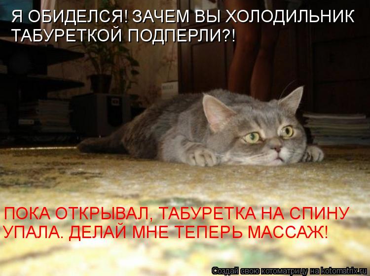 Я ОБИДЕЛСЯ! ЗАЧЕМ ВЫ ХОЛОДИЛЬНИК ТАБУРЕТКОЙ ПОДПЕРЛИ?! ПОКА ОТКРЫВАЛ, ТАБУРЕТКА НА СПИНУ УПАЛА. ДЕ... Котоматрица: Я ОБИДЕЛСЯ! ЗАЧЕМ ВЫ ХОЛОДИЛЬНИК ТАБУРЕТКОЙ ПОДПЕРЛИ?! ПОКА ОТКРЫВАЛ, ТАБУРЕТКА НА СПИНУ УПАЛА. ДЕЛАЙ МНЕ ТЕПЕРЬ МАССАЖ!