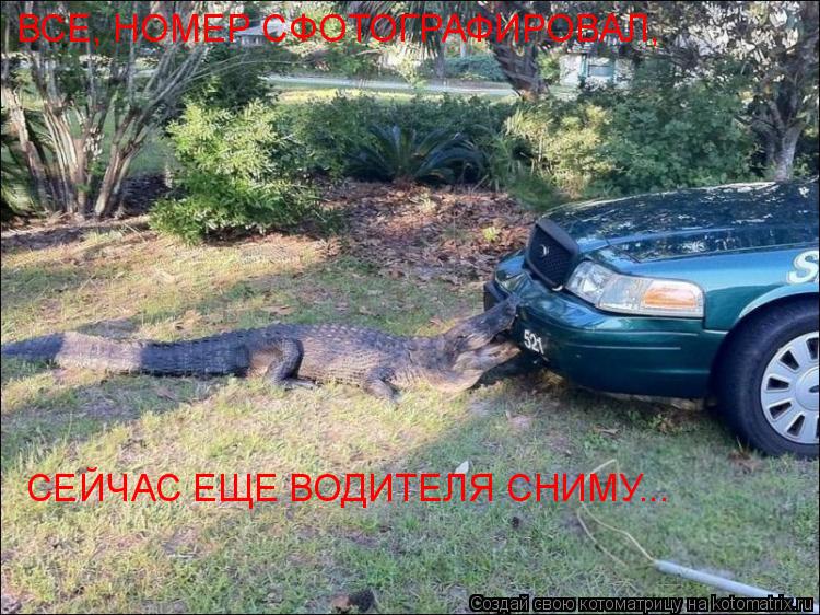 ВСЕ, НОМЕР СФОТОГРАФИРОВАЛ, СЕЙЧАС ЕЩЕ ВОДИТЕЛЯ СНИМУ...... Котоматрица: ВСЕ, НОМЕР СФОТОГРАФИРОВАЛ, СЕЙЧАС ЕЩЕ ВОДИТЕЛЯ СНИМУ...