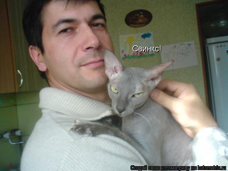 Свинкс!... Котоматрица: Свинкс!