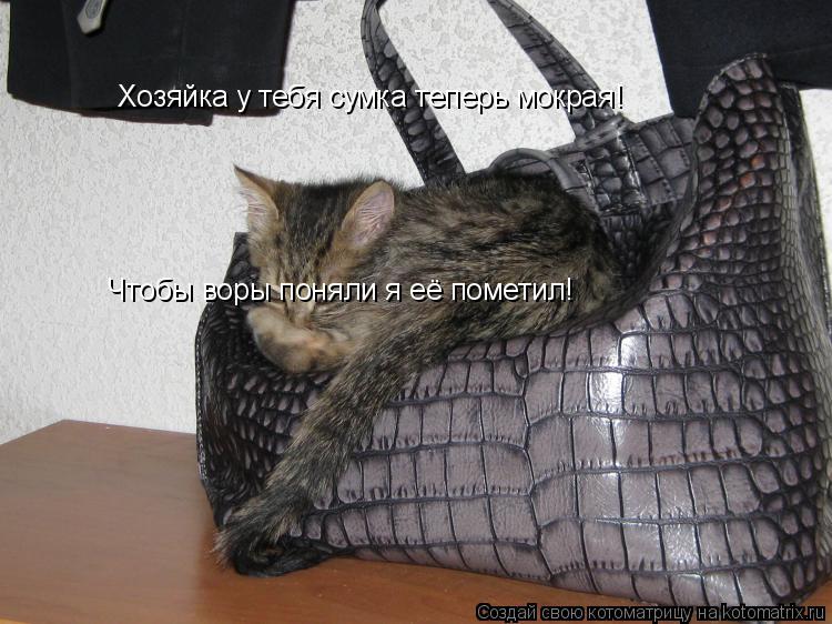 Котоматрица: Хозяйка у тебя сумка теперь мокрая! Чтобы воры поняли я её пометил!