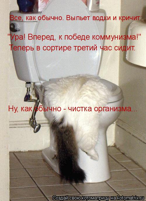 Котоматрица: Все, как обычно. Выпьет водки и кричит: "Ура! Вперед, к победе коммунизма!" Теперь в сортире третий час сидит.  Ну, как обычно - чистка организма