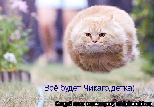 Котоматрица: Всё будет Чикаго,детка)