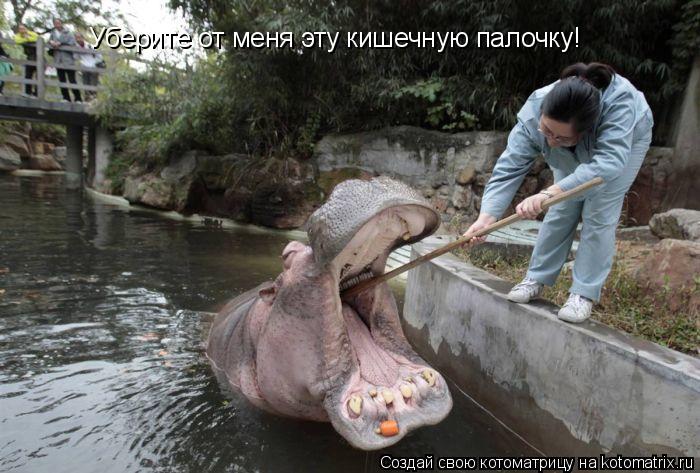 Котоматрица: Уберите от меня эту кишечную палочку!