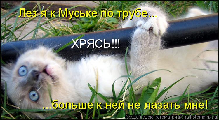 Котоматрица: Лез я к Муське по трубе... ХРЯСЬ!!! ...больше к ней не лазать мне!
