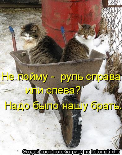 Котоматрица: Не пойму -  руль справа  или слева? Надо было нашу брать.