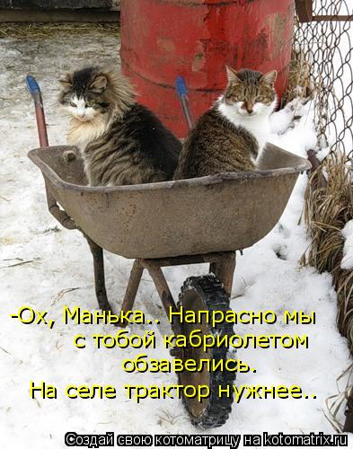 Котоматрица: -Ох, Манька.. Напрасно мы  с тобой кабриолетом обзавелись. На селе трактор нужнее..