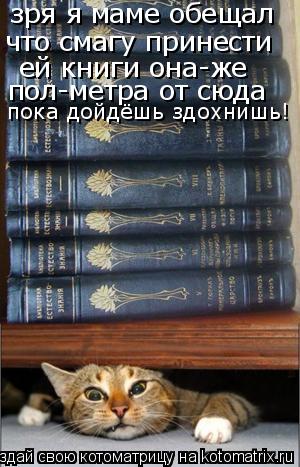 зря я маме обещал что смагу принести ей книги она-же пол-метра от сюда пока дойдёшь здохнишь!... Котоматрица: зря я маме обещал что смагу принести ей книги она-же пол-метра от сюда пока дойдёшь здохнишь!