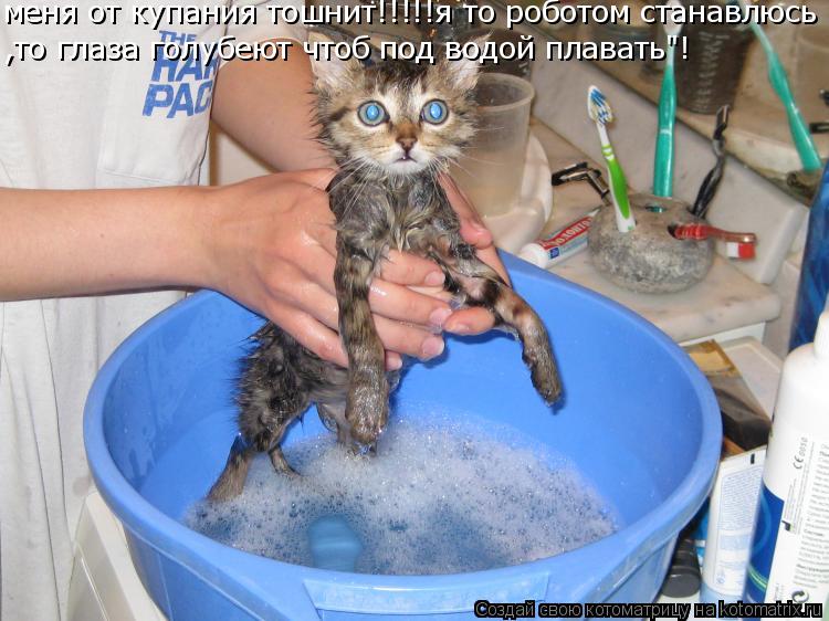 меня от купания тошнит!!!!!я то роботом станавлюсь ,то глаза голубеют чтоб под водой плавать"!... Котоматрица: меня от купания тошнит!!!!!я то роботом станавлюсь ,то глаза голубеют чтоб под водой плавать"!