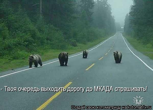 - Твоя очередь выходить дорогу до МКАДА спрашивать!... Котоматрица: - Твоя очередь выходить дорогу до МКАДА спрашивать!