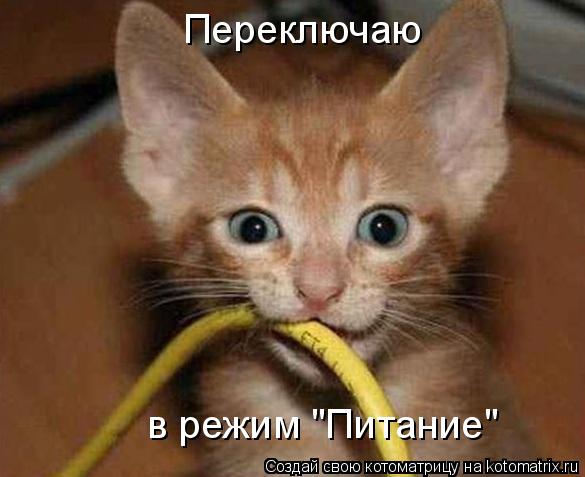 Переключаю в режим "Питание"... Котоматрица: Переключаю в режим "Питание"