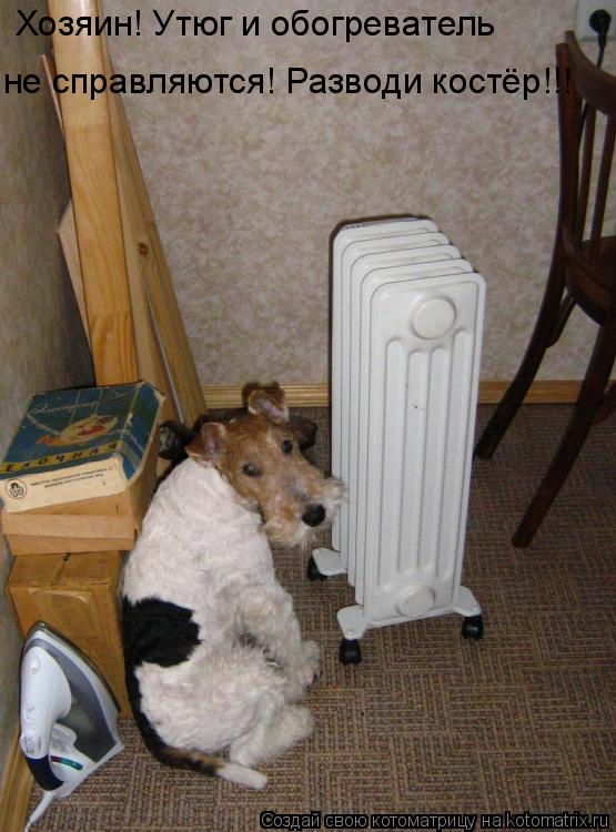Хозяин! Утюг и обогреватель не справляются! Разводи костёр!!!... Котоматрица: Хозяин! Утюг и обогреватель не справляются! Разводи костёр!!!