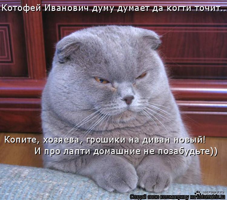 Котофей Иванович думу думает да когти точит.. Копите, хозяева, грошики на диван новый! И про лапти д... Котоматрица: Котофей Иванович думу думает да когти точит.. Копите, хозяева, грошики на диван новый! И про лапти домашние не позабудьте))