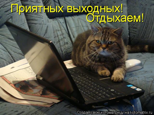 Приятных выходных! Отдыхаем!... Котоматрица: Приятных выходных! Отдыхаем!