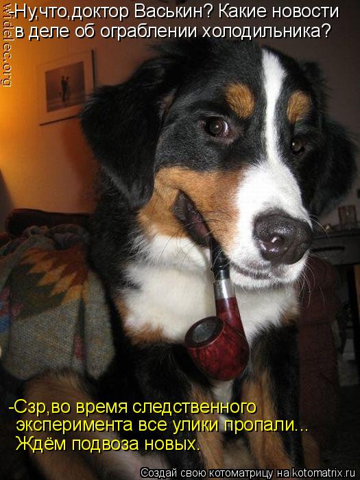 -Ну,что,доктор Васькин? Какие новости в деле об ограблении холодильника? -Сзр,во время следственного ... Котоматрица: -Ну,что,доктор Васькин? Какие новости в деле об ограблении холодильника? -Сзр,во время следственного эксперимента все улики пропали... Ждём