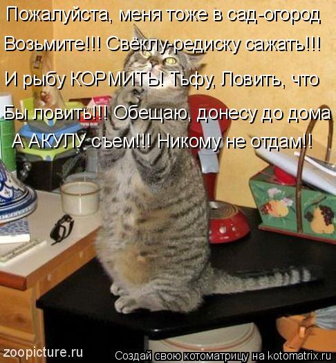 Котоматрица: Пожалуйста, меня тоже в сад-огород Возьмите!!! Свёклу-редиску сажать!!! И рыбу КОРМИТЬ! Тьфу, Ловить, что  Бы ловить!!! Обещаю, донесу до дома А А