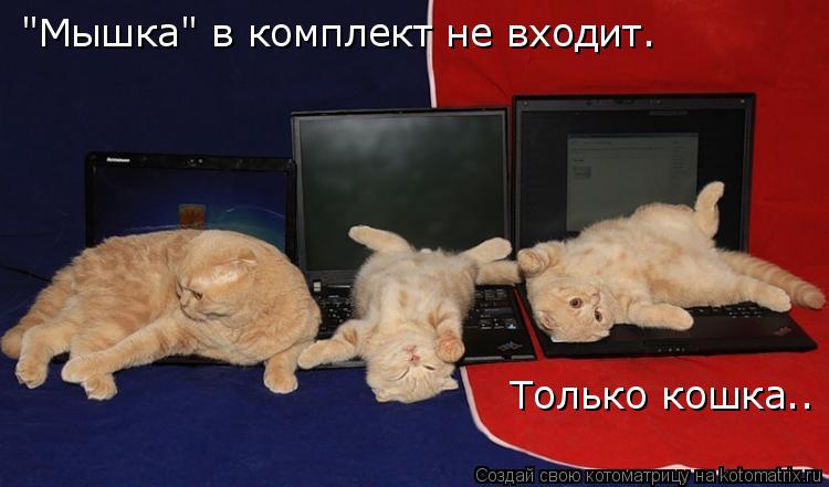 Котоматрица: "Мышка" в комплект не входит. Только кошка..