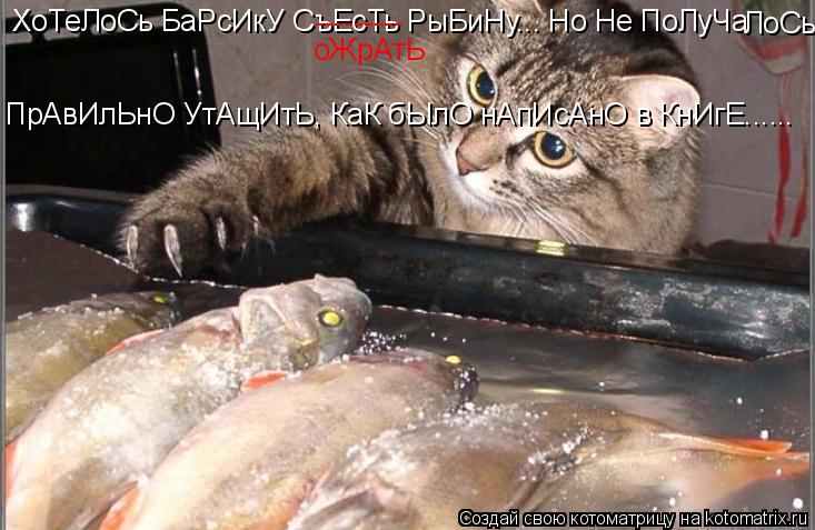 Котоматрица: ХоТеЛоСь БаРсИкУ СъЕсТь РыБиНу... Но Не ПоЛуЧа ЛоСь ПрАвИлЬнО УтАщИтЬ, КаК бЫлО нАпИсАнО в КнИгЕ...... --------- оЖрАтЬ