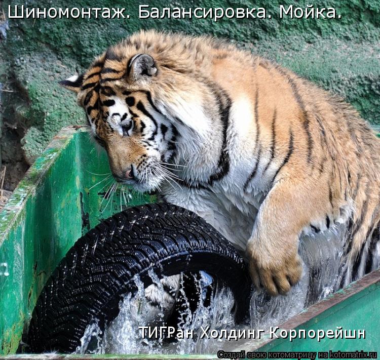 Котоматрица: Шиномонтаж. Балансировка. Мойка. ТИГРан Холдинг Корпорейшн