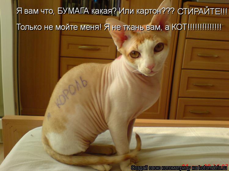 Котоматрица: Я вам что, БУМАГА какая? Или картон??? СТИРАЙТЕ!!! Только не мойте меня! Я не ткань вам, а КОТ!!!!!!!!!!!!!!