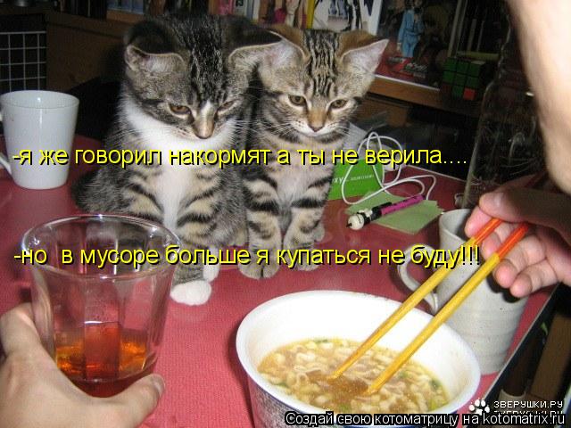 Котоматрица: -я же говорил накормят а ты не верила.... -но  в мусоре больше я купаться не буду!!!