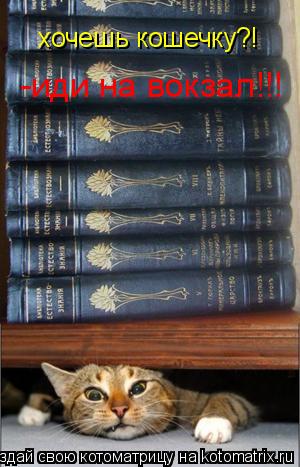 Котоматрица: хочешь кошатины?!- иди на вокзал!!! хочешь кошечку?!  -иди на вокзал!!!
