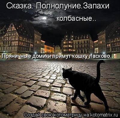Котоматрица: Сказка. Полнолуние.Запахи  колбасные.. Пряничные домики примут кошку ласково..