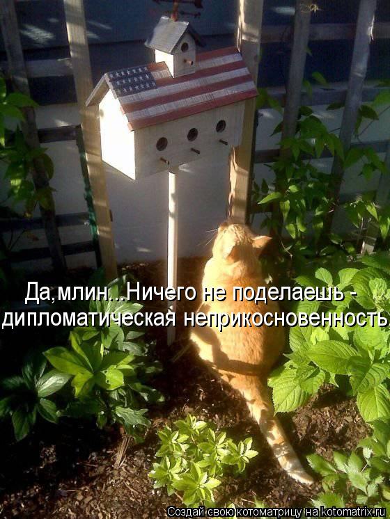Да,млин...Ничего не поделаешь - дипломатическая неприкосновенность,... Котоматрица: Да,млин...Ничего не поделаешь - дипломатическая неприкосновенность,