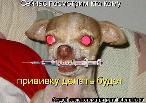 Котоматрица: Сейчас посмотрим кто кому  прививку делать будет