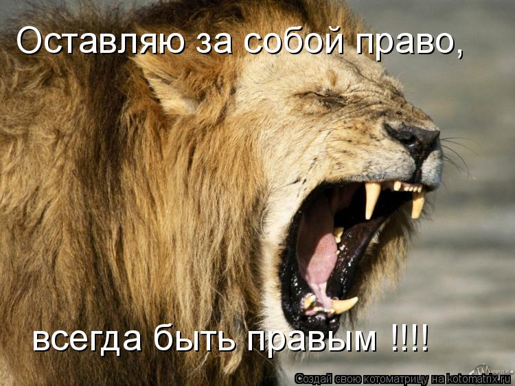 Оставляю за собой право, всегда быть правым !!!!... Котоматрица: Оставляю за собой право, всегда быть правым !!!!