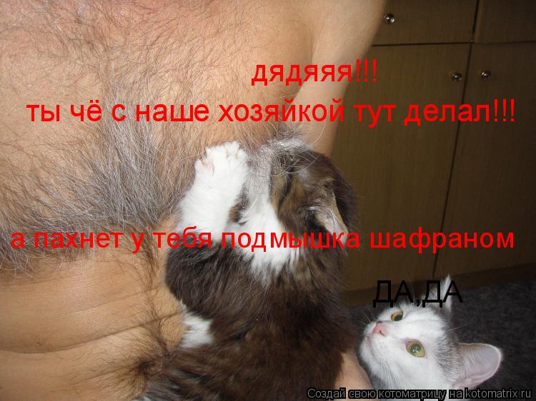 дядяяя!!! ты чё с наше хозяйкой тут делал!!! ДА,ДА а пахнет у тебя подмышка шафраном... Котоматрица: дядяяя!!! ты чё с наше хозяйкой тут делал!!! ДА,ДА а пахнет у тебя подмышка шафраном