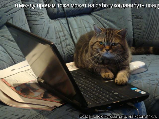 я между прочим тоже может на работу когданибуть пойду... Котоматрица: я между прочим тоже может на работу когданибуть пойду