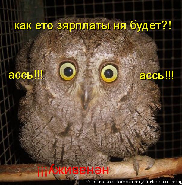 как ето зярплаты ня будет?! ассь!!! ассь!!! ненавижу!!!... Котоматрица: как ето зярплаты ня будет?! ассь!!! ассь!!! ненавижу!!!