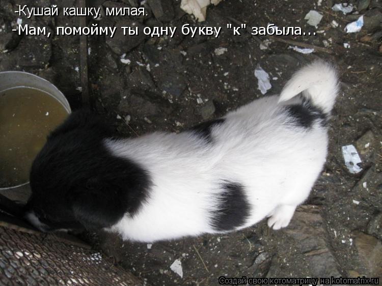 -Кушай кашку, милая. -Мам, помойму ты одну букву "к" забыла...... Котоматрица: -Кушай кашку, милая. -Мам, помойму ты одну букву "к" забыла...