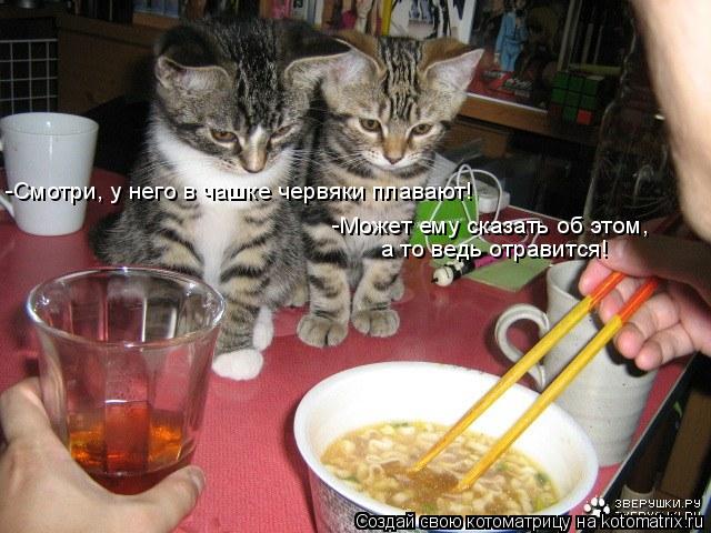 -Может ему сказать об этом, -Смотри, у него в чашке червяки плавают! а то ведь отравится!... Котоматрица: -Может ему сказать об этом, -Смотри, у него в чашке червяки плавают! а то ведь отравится!