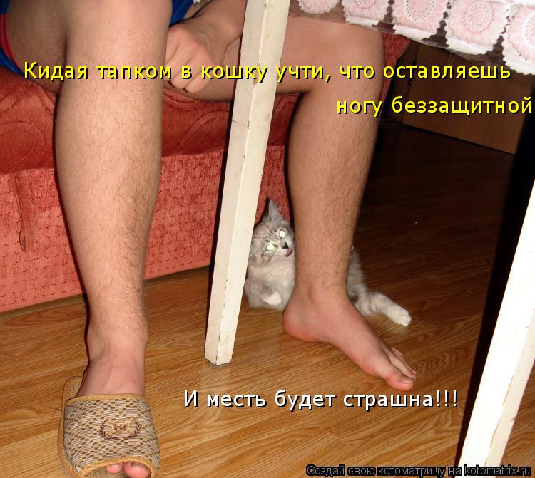 Котоматрица: Кидая тапком в кошку учти, что оставляешь  ногу беззащитной. И месть будет страшна!!!