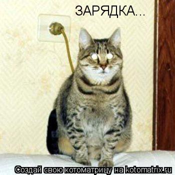 ЗАРЯДКА...... Котоматрица: ЗАРЯДКА...