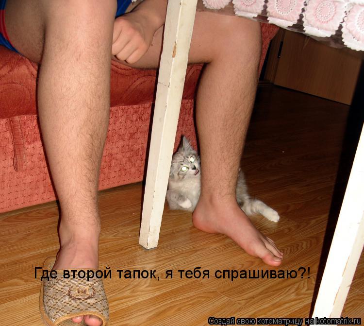 Где второй тапок, я тебя спрашиваю?!... Котоматрица: Где второй тапок, я тебя спрашиваю?!