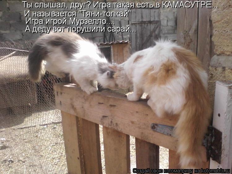 Ты слышал, друг? Игра такая есть в КАМАСУТРЕ... И называется "Тяни-толкай" Игра игрой Мурзелло.... А ... Котоматрица: Ты слышал, друг? Игра такая есть в КАМАСУТРЕ... И называется "Тяни-толкай" Игра игрой Мурзелло.... А деду вот порушили сарай...