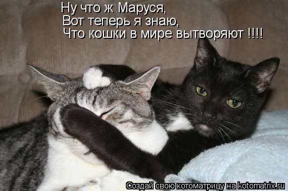 Ну что ж Маруся, Вот теперь я знаю, Что кошки в мире вытворяют !!!!... Котоматрица: Ну что ж Маруся, Вот теперь я знаю, Что кошки в мире вытворяют !!!!