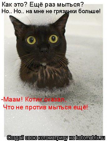 Как это? Ещё раз мыться? Но.. Но.. на мне не грязинки больше! -Маам! Котик сказал, Что не против мыть... Котоматрица: Как это? Ещё раз мыться? Но.. Но.. на мне не грязинки больше! -Маам! Котик сказал, Что не против мыться ещё!