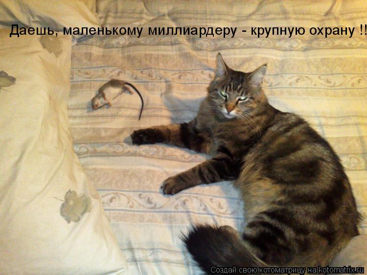 Даешь, маленькому миллиардеру - крупную охрану !!!... Котоматрица: Даешь, маленькому миллиардеру - крупную охрану !!!
